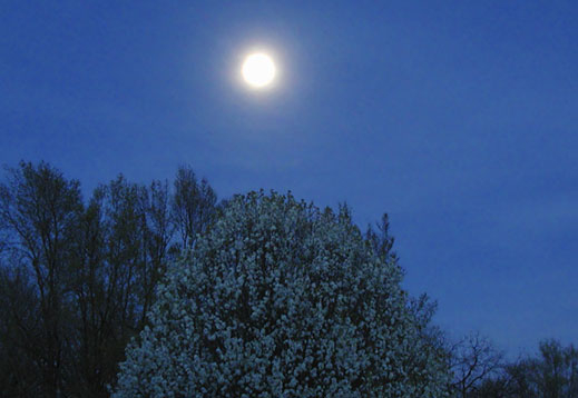 Близо 300 населени места останаха без ток