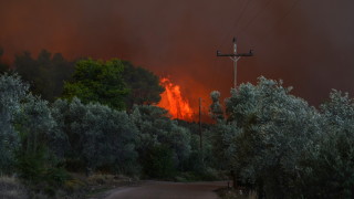 Голям пожар на гръцкия остров Евбея в близост до Атина