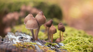 Депресията може да бъде дълготраен проблем казват учените и дават