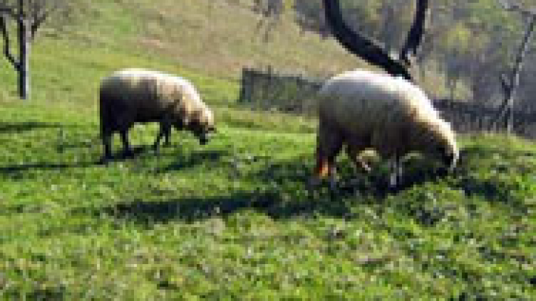 Изображение 4329