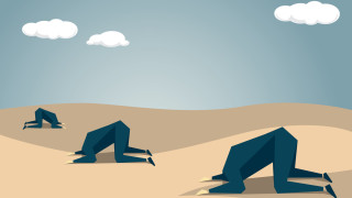 Помислете за пуйка която се храни всеки ден Това ни