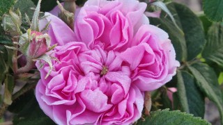 Днес ще преобладава слънчево време След обяд ще се развива