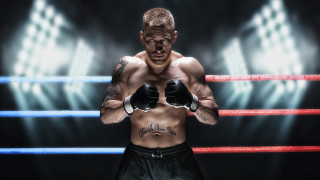 UFC има много фенове по цял свят нищо че най много галавечери