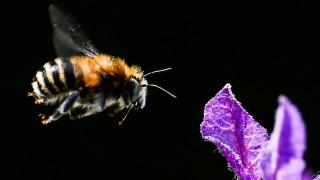 Слънце и дъжд се редуват