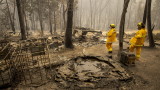  Над 500 000 души бягат от десетки смъртоносни горски пожари в Съединени американски щати 