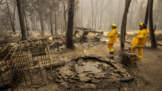 Над 500 000 души бягат от десетки смъртоносни горски пожари в САЩ