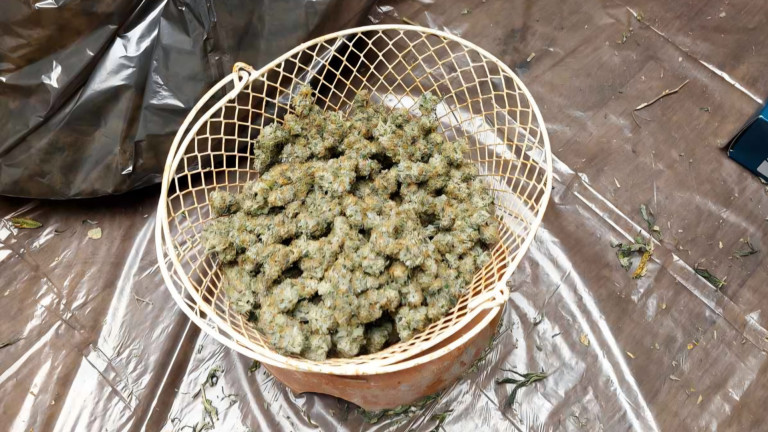 Изображение 755829