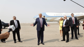 Ако дърво падне в гората само Доналд Тръмп ли ще