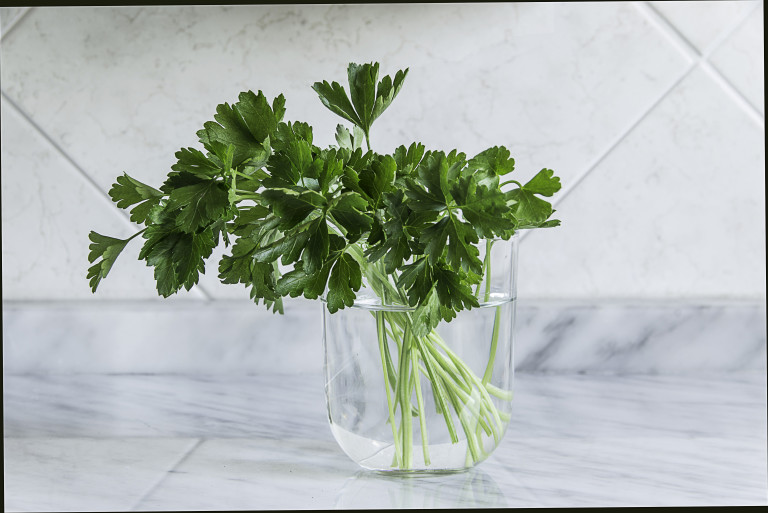 Магданозът е елементарно да остане пресен задълго