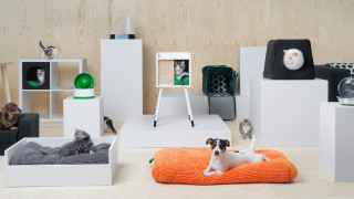 IKEA пуска мебели за домашни любимци