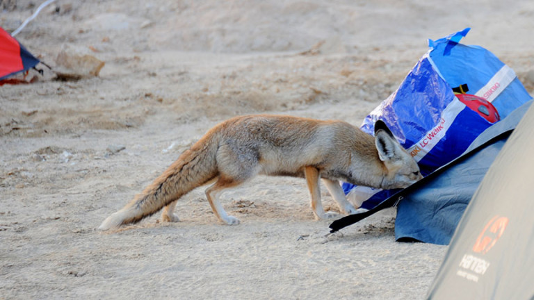 Изображение 407629