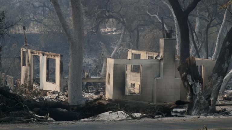 Изображение 317729