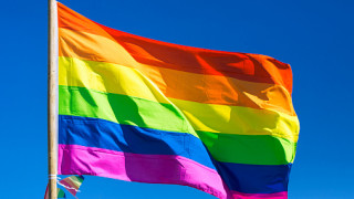 Румъния планира референдум против гей браковете през есента