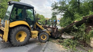 В Ловешко все още десетки абонати са без ток след