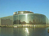Финасови измами за над  €150 млн. в Европарламента