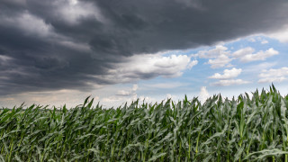 Национална асоциация на зърнопроизводителите НАЗ отправя остри критики към работата