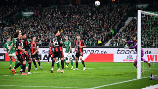 Изображение 748229