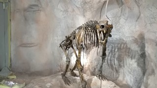 Проекти на МРРБ превръщат туристи в миньори - как траките обработвали руда