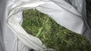 Бургаската жандармерия спипа двама мъже на 27 и 36 години