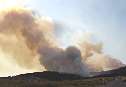 Възстановяват опожарените гори край Стара Загора с SMS-акция