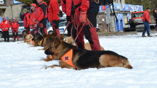 Традиционно новогодишно почти необлечено изкачване на Черни връх със заснемане