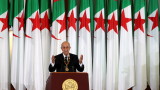 Алжир провежда референдум за нова конституция на 1 ноември 
