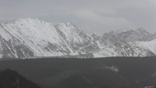 Петима души загинаха от падащи дървета когато силните ветрове удариха