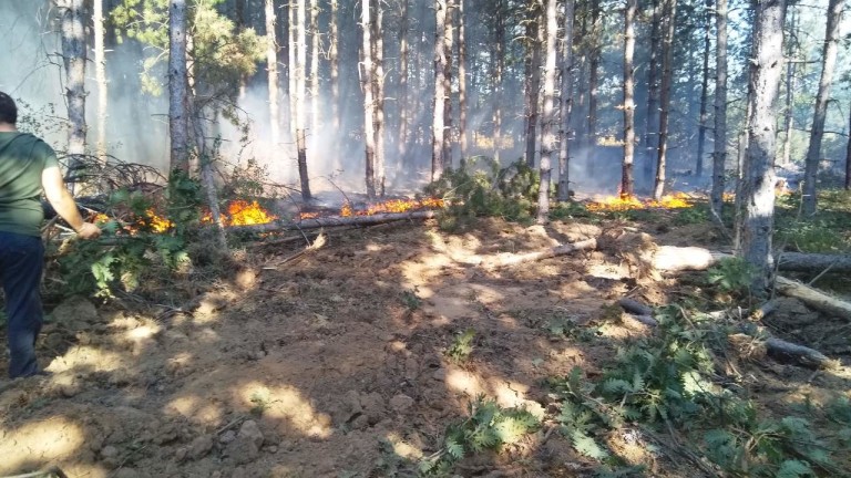 Пожарът в Сакар още не е овладян