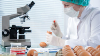 Българската агенция по безопасност на храните БАБХ ще извършва засилени