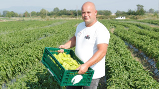 Ключът към качествената българска продукция е в добре организираната работа