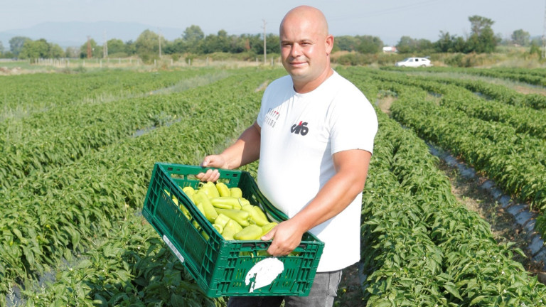 Ключът към качествената българска продукция е в добре организираната работа 