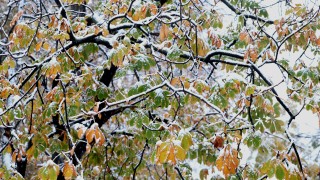 Бурен вятър и валежи от дъжд и сняг в четвъртък