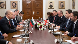 Радев заяви категорична подкрепа от България за суверенитета и териториалната цялост на Грузия