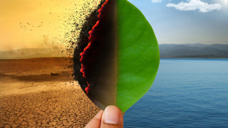 ООН: Видовете на Земята изчезват с невероятни темпове