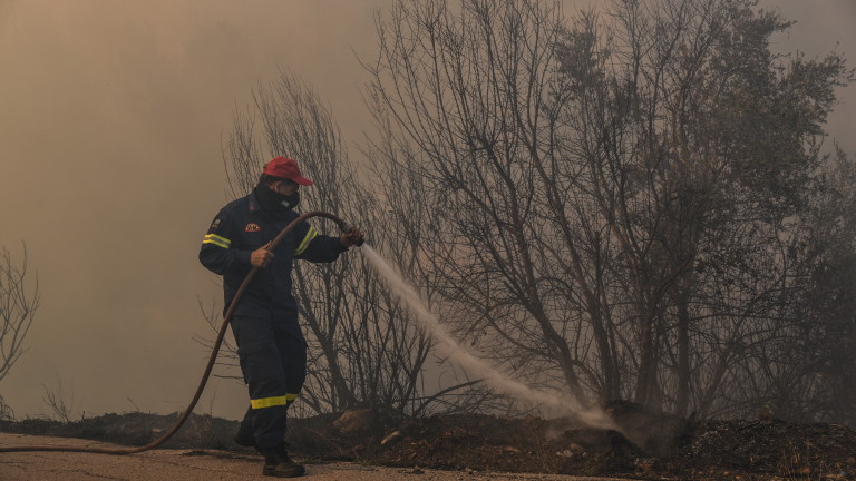 Изображение 373030