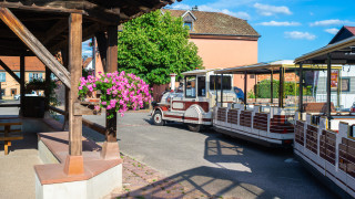 при който дете загина след падане от парашут отново постави