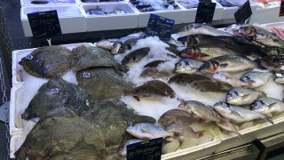 БАБХ проверява каква риба ни продават за Никулден