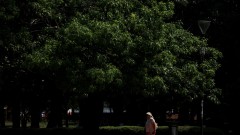 Жълт код за жеги в 9 области