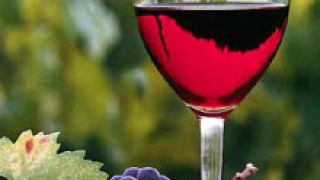 Добро качество на тазгодишната реколта винени сортове грозде