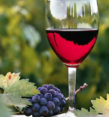 Българското вино демонстрира класата си на „Винария 2013"