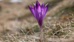 Мъгливо утро, но слънчев ден