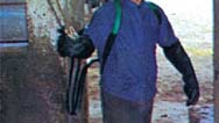 В Шекермахала в Пловдив започва дезинфекция заради Хепатит А