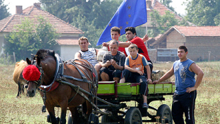 Животновъдите получвавт 49 млн. лв. до средата на месеца