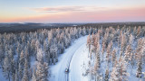 Златото, което буквално расте по коледните елхи в Лапландия