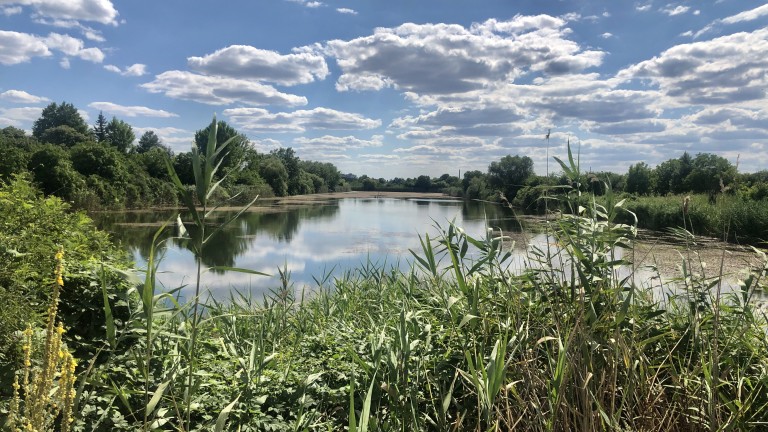 Забраниха риболова в Гребната база на Ямбол до 30 юни