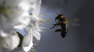 През деня над страната ще има разкъсана средна и висока