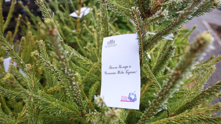 Изображение 456530