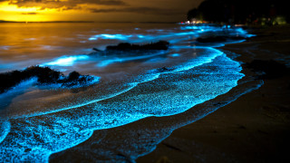 Черно море свети в тъмното - на какво се дължи това