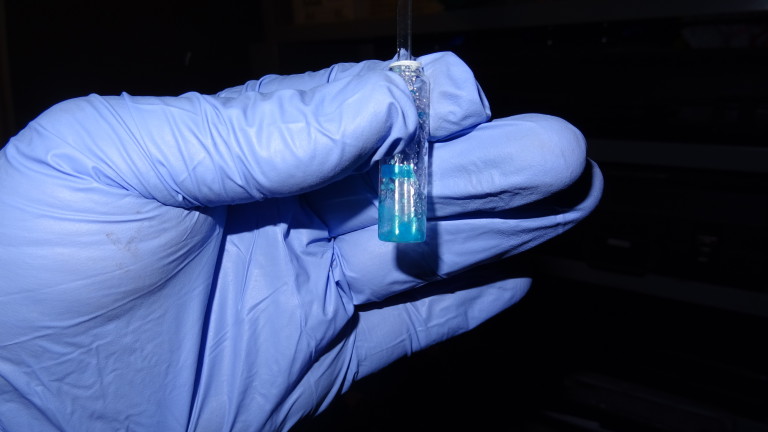 Варненци се оплакват от тормоз от наркозависими