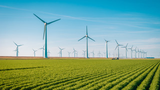 Дания започна най големия търг за офшорна вятърна енергия досега